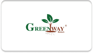 green_way