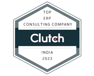 top ERP consulting company